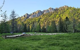 Gosciniec Kuznice